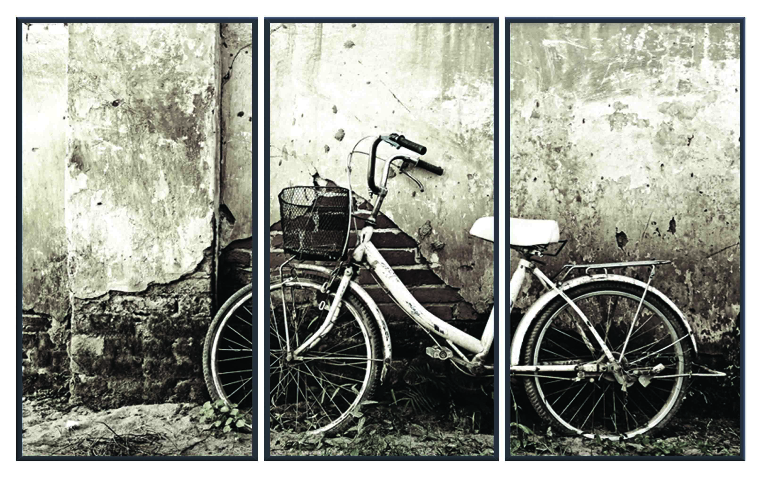 ASG404 Wall décor art printed on glass bicycle set of 3